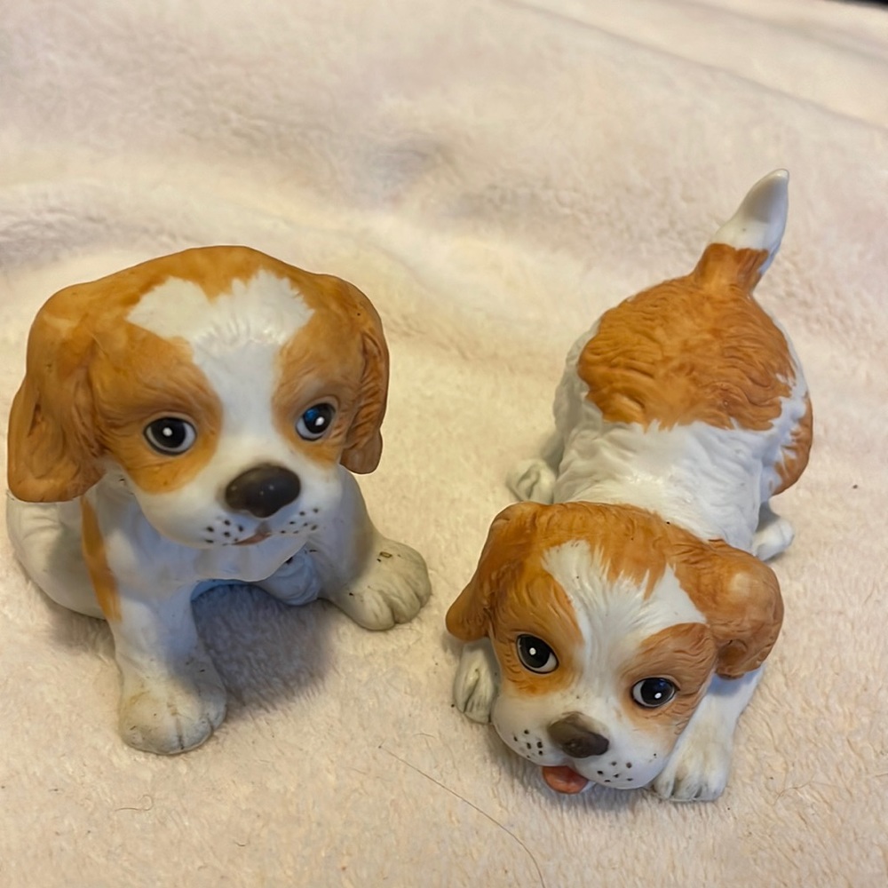 Home Interior Puppy’s